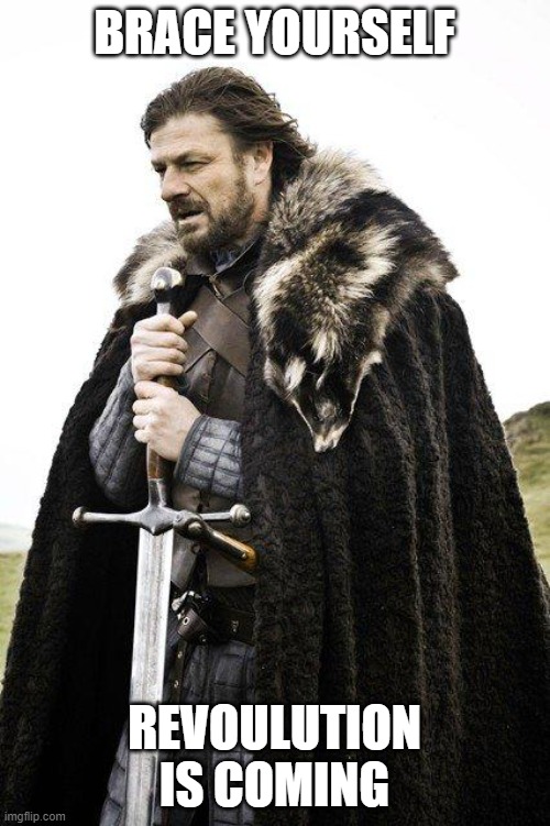Brace Yourself | BRACE YOURSELF REVOULUTION IS COMING | image tagged in brace yourself | made w/ Imgflip meme maker