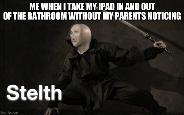 Stelth | ME WHEN I TAKE MY IPAD IN AND OUT OF THE BATHROOM WITHOUT MY PARENTS NOTICING | image tagged in stelth | made w/ Imgflip meme maker