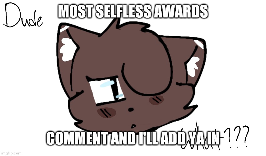 Bruh | MOST SELFLESS AWARDS; COMMENT AND I'LL ADD YA IN | image tagged in bruh | made w/ Imgflip meme maker