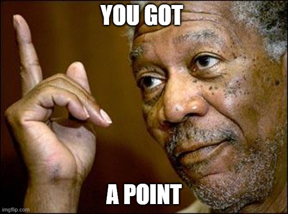 This Morgan Freeman | YOU GOT A POINT | image tagged in this morgan freeman | made w/ Imgflip meme maker