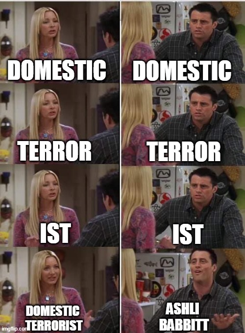 Domestic Terrorist | DOMESTIC; DOMESTIC; TERROR; TERROR; IST; IST; ASHLI 
BABBITT; DOMESTIC 
TERRORIST | image tagged in friends joey teached french | made w/ Imgflip meme maker