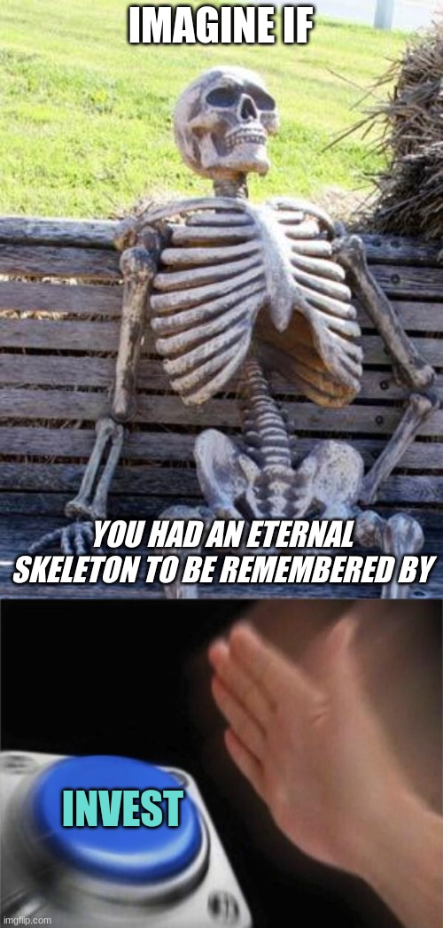 IMAGINE IF; YOU HAD AN ETERNAL SKELETON TO BE REMEMBERED BY; INVEST | image tagged in memes,waiting skeleton,blank nut button | made w/ Imgflip meme maker