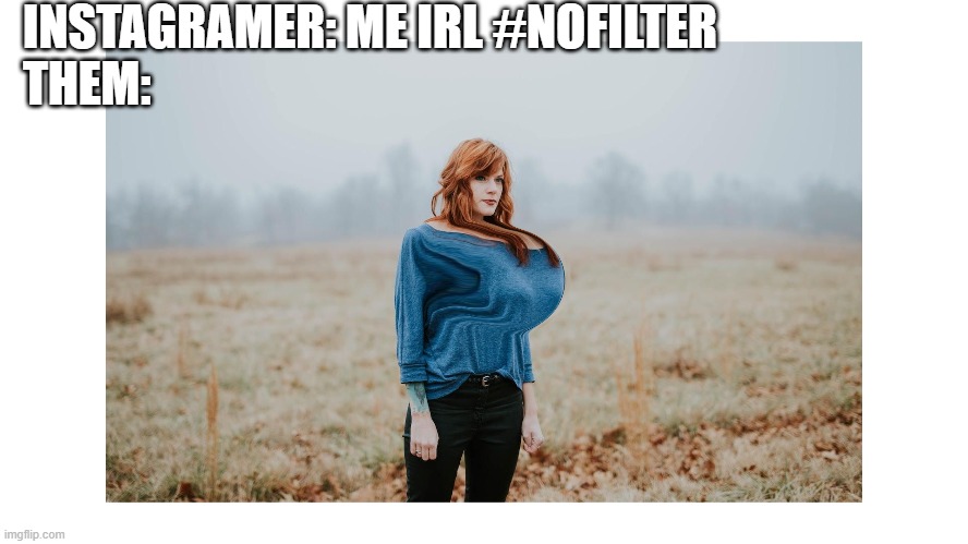 instagramers r dumb | INSTAGRAMER: ME IRL #NOFILTER
THEM: | image tagged in instagram,are u serious,lol,meme,funny,dastarminers awesome memes | made w/ Imgflip meme maker