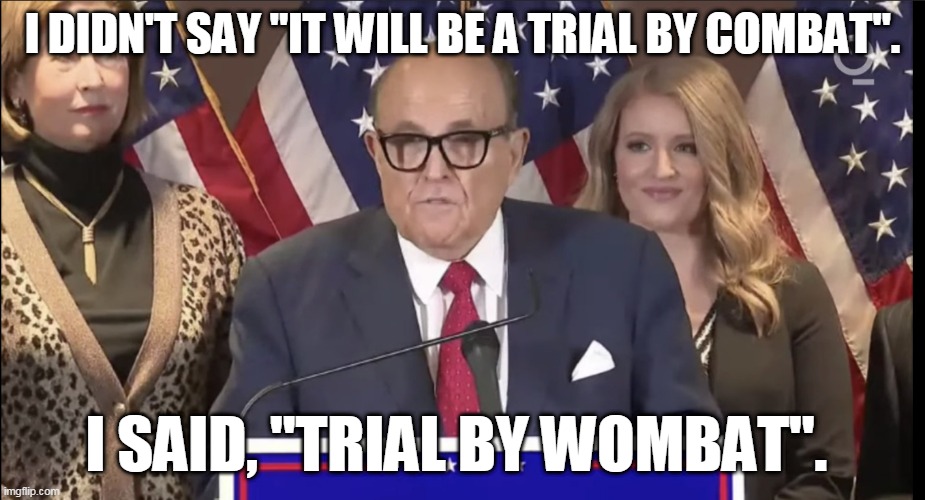 Powell -Giuliani - Ellis | I DIDN'T SAY "IT WILL BE A TRIAL BY COMBAT". I SAID, "TRIAL BY WOMBAT". | image tagged in powell -giuliani - ellis | made w/ Imgflip meme maker