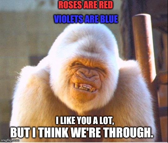My dearest, | ROSES ARE RED; VIOLETS ARE BLUE; I LIKE YOU A LOT, BUT I THINK WE'RE THROUGH. | image tagged in roast too hard,oof,wasted | made w/ Imgflip meme maker