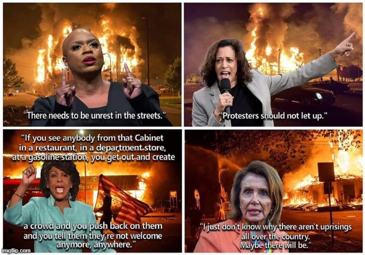 Leftists Inciting Violence | image tagged in democrats are domestic terrorists,congress are terrorists,congress is treasonous,replace congress | made w/ Imgflip meme maker