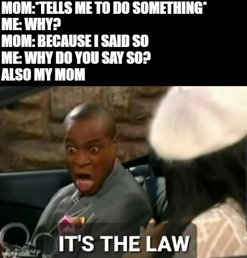 F in chat if you can relate | MOM:*TELLS ME TO DO SOMETHING*
ME: WHY?
MOM: BECAUSE I SAID SO
ME: WHY DO YOU SAY SO?
ALSO MY MOM | image tagged in it's the law,f,mm,because i said so,dumb shiz | made w/ Imgflip meme maker