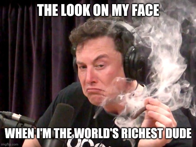 Elon Musk Weed | THE LOOK ON MY FACE; WHEN I'M THE WORLD'S RICHEST DUDE | image tagged in elon musk weed | made w/ Imgflip meme maker