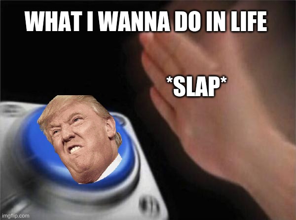 Blank Nut Button | WHAT I WANNA DO IN LIFE; *SLAP* | image tagged in memes,blank nut button | made w/ Imgflip meme maker