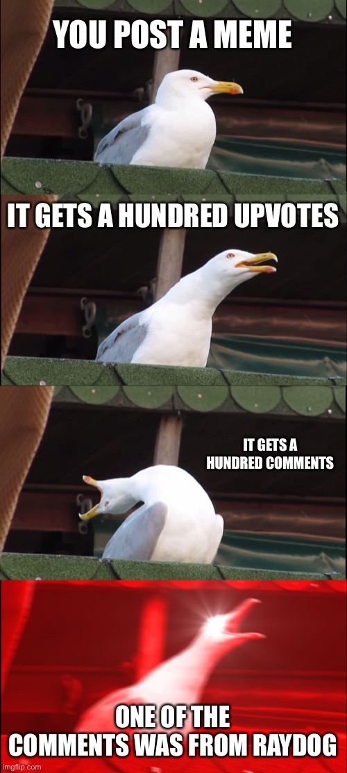 Inhaling Seagull Meme | YOU POST A MEME; IT GETS A HUNDRED UPVOTES; IT GETS A HUNDRED COMMENTS; ONE OF THE COMMENTS WAS FROM RAYDOG | image tagged in memes,inhaling seagull | made w/ Imgflip meme maker