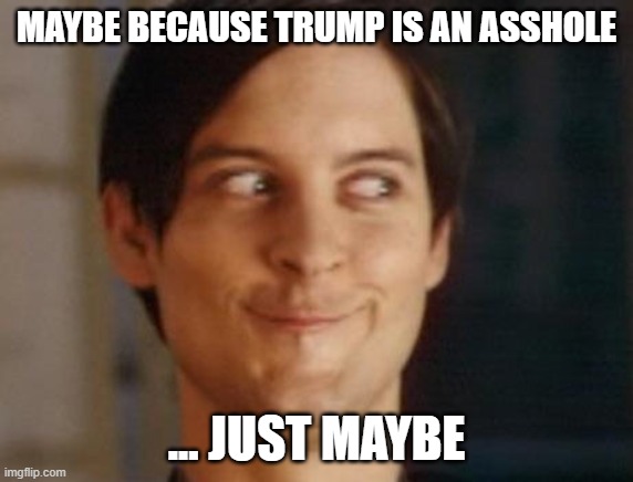 Spiderman Peter Parker Meme | MAYBE BECAUSE TRUMP IS AN ASSHOLE ... JUST MAYBE | image tagged in memes,spiderman peter parker | made w/ Imgflip meme maker