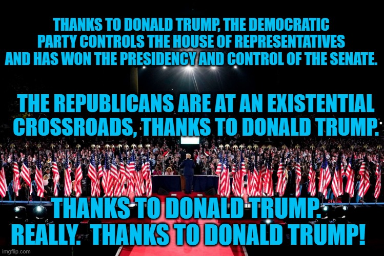 Thanks, To Donald Trump. | THANKS TO DONALD TRUMP, THE DEMOCRATIC PARTY CONTROLS THE HOUSE OF REPRESENTATIVES AND HAS WON THE PRESIDENCY AND CONTROL OF THE SENATE. THE REPUBLICANS ARE AT AN EXISTENTIAL CROSSROADS, THANKS TO DONALD TRUMP. THANKS TO DONALD TRUMP.  REALLY.  THANKS TO DONALD TRUMP! | image tagged in politics | made w/ Imgflip meme maker