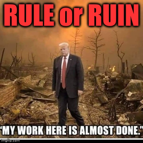 RULE or RUIN | image tagged in donald trump,domestic terrorist,black lives matter,capitol hill | made w/ Imgflip meme maker