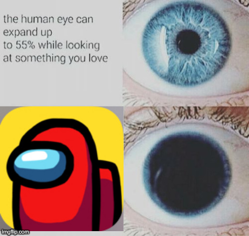 IF SOMEONE DOESN'T I WILL KILL HIM | image tagged in eye pupil expand | made w/ Imgflip meme maker