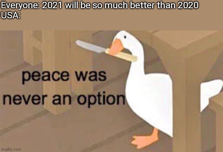 Untitled Goose Peace Was Never an Option | Everyone: 2021 will be so much better than 2020
USA: | image tagged in untitled goose peace was never an option | made w/ Imgflip meme maker