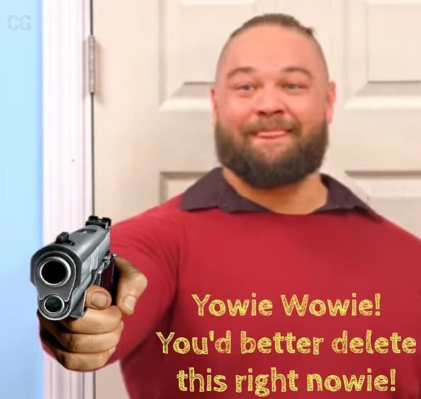 Yowie wowie you'd better delete this right nowie Blank Meme Template