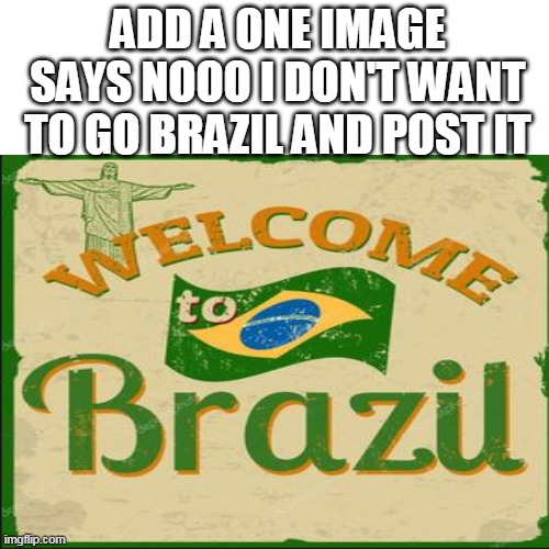 noooo i dont want it | ADD A ONE IMAGE SAYS NOOO I DON'T WANT TO GO BRAZIL AND POST IT | image tagged in welcome to brazil,brazil,memes,uhhhh | made w/ Imgflip meme maker