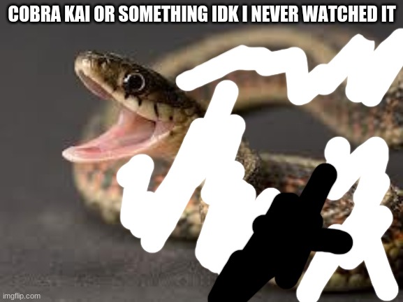 idk | COBRA KAI OR SOMETHING IDK I NEVER WATCHED IT | image tagged in warning snake | made w/ Imgflip meme maker