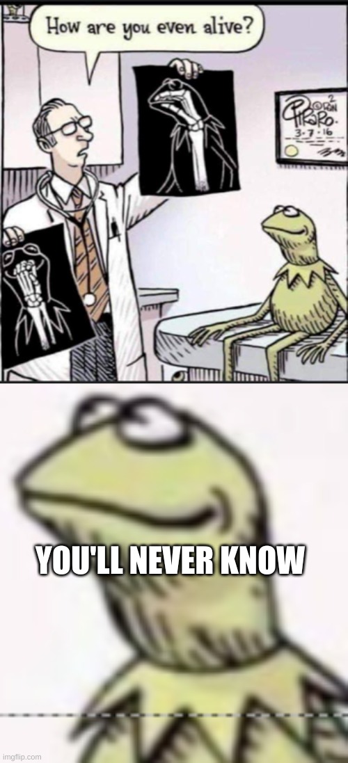 YOU'LL NEVER KNOW | image tagged in kermit the frog | made w/ Imgflip meme maker