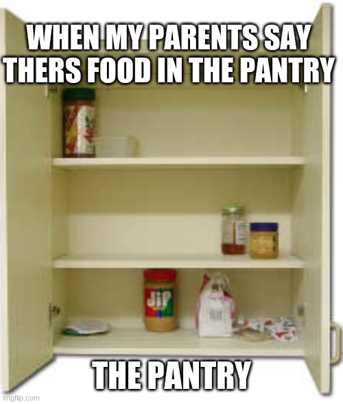 The empty pantry | WHEN MY PARENTS SAY THERS FOOD IN THE PANTRY; THE PANTRY | image tagged in funny,food,pantry,funny memes,fun | made w/ Imgflip meme maker