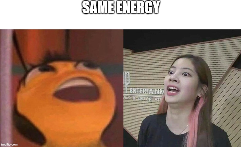A TWICE meme |  SAME ENERGY | image tagged in bee movie | made w/ Imgflip meme maker