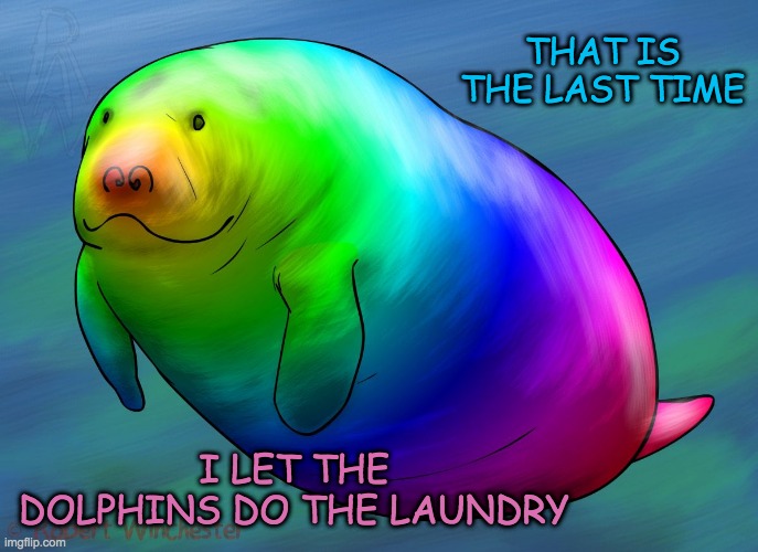 It sounded like a good idea . . . | THAT IS THE LAST TIME; I LET THE DOLPHINS DO THE LAUNDRY | image tagged in hue manatee,rainbow,manatee,accident | made w/ Imgflip meme maker
