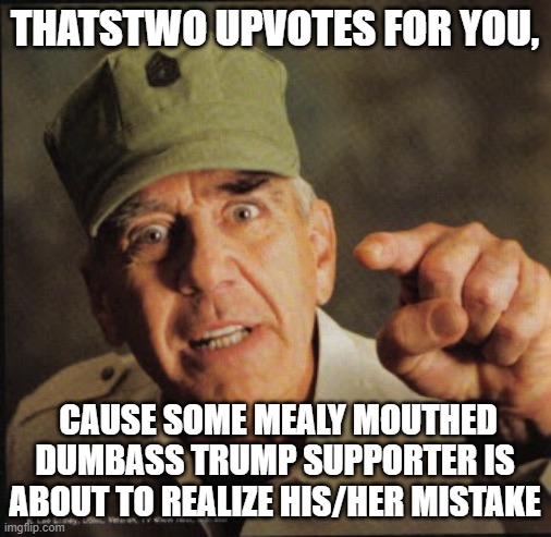 Military | THATSTWO UPVOTES FOR YOU, CAUSE SOME MEALY MOUTHED DUMBASS TRUMP SUPPORTER IS ABOUT TO REALIZE HIS/HER MISTAKE | image tagged in military | made w/ Imgflip meme maker