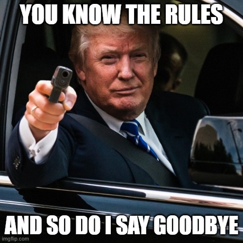 trump rolled | YOU KNOW THE RULES; AND SO DO I SAY GOODBYE | image tagged in trump rolled | made w/ Imgflip meme maker