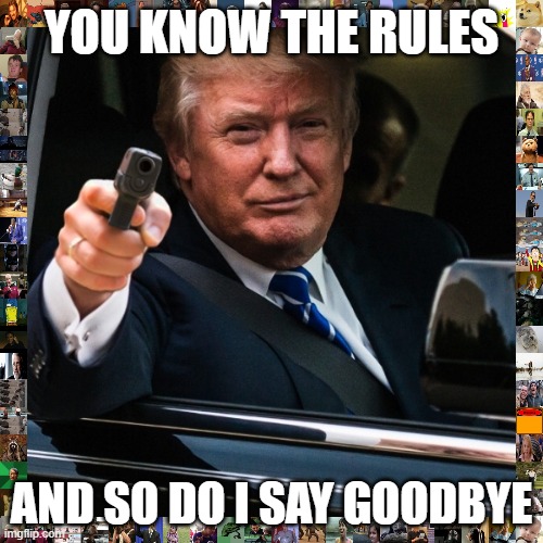 trump rolled | YOU KNOW THE RULES; AND SO DO I SAY GOODBYE | image tagged in trump rolled | made w/ Imgflip meme maker