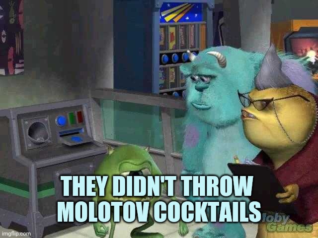 Mike wazowski trying to explain | THEY DIDN'T THROW 
MOLOTOV COCKTAILS | image tagged in mike wazowski trying to explain | made w/ Imgflip meme maker