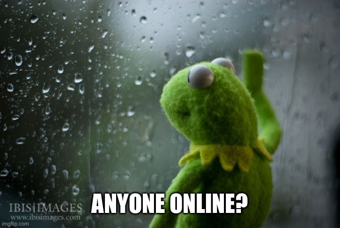 I fixed it.. | ANYONE ONLINE? | image tagged in kermit window | made w/ Imgflip meme maker