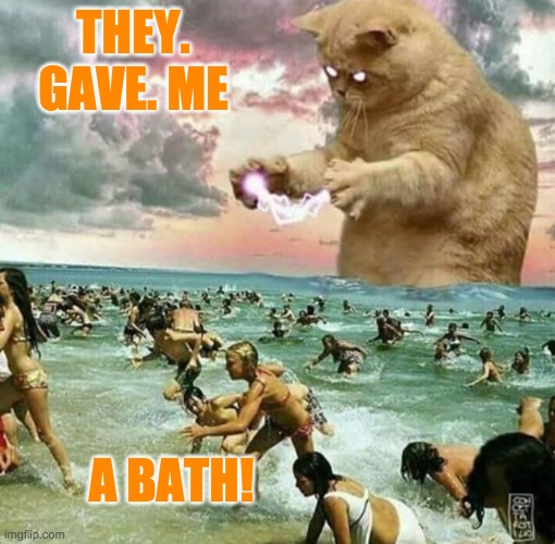 Kaiju cat | THEY. GAVE. ME; A BATH! | image tagged in giant cat on beach,godzilla,cat,kaiju,bath,angry cat | made w/ Imgflip meme maker