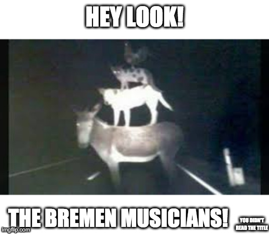 Yes you didn't read the title, but i was gonna add only that they are the Bremen musicians, but they consumed wee- (read the tag | HEY LOOK! THE BREMEN MUSICIANS! YOU DIDN'T READ THE TITLE | image tagged in shut up,i know,where are they now,kill me now,please | made w/ Imgflip meme maker