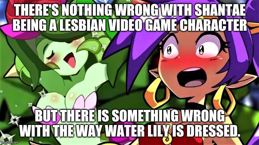 Why is Water Lily so perverted..? | THERE'S NOTHING WRONG WITH SHANTAE BEING A LESBIAN VIDEO GAME CHARACTER; BUT THERE IS SOMETHING WRONG WITH THE WAY WATER LILY IS DRESSED. | image tagged in shantae,water lily,lgbtq | made w/ Imgflip meme maker