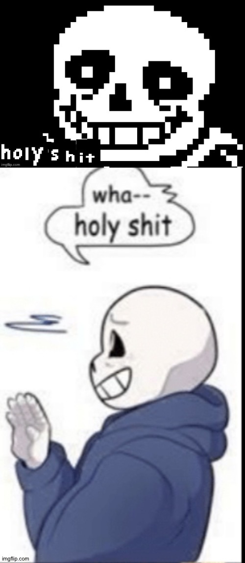 image tagged in sans holy shit | made w/ Imgflip meme maker