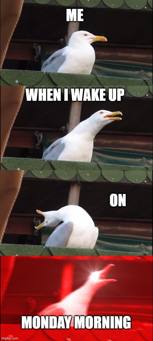 mondays | ME; WHEN I WAKE UP; ON; MONDAY MORNING | image tagged in memes,inhaling seagull | made w/ Imgflip meme maker