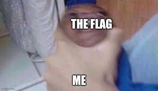 kid getting choked | THE FLAG ME | image tagged in kid getting choked | made w/ Imgflip meme maker