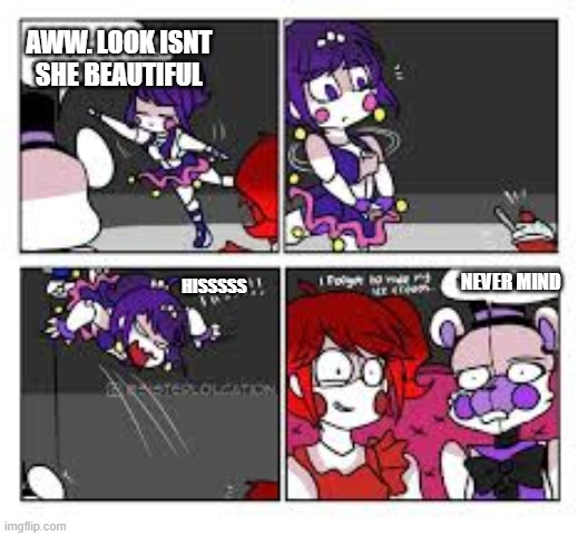i found this | AWW. LOOK ISNT SHE BEAUTIFUL; NEVER MIND; HISSSSS | made w/ Imgflip meme maker