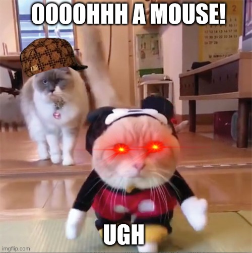 mickey mouse cat house | OOOOHHH A MOUSE! UGH | image tagged in mickey mouse cat house | made w/ Imgflip meme maker