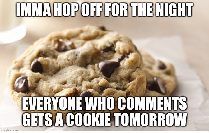 C YA BOIZ | IMMA HOP OFF FOR THE NIGHT; EVERYONE WHO COMMENTS GETS A COOKIE TOMORROW | image tagged in funny,goodnight | made w/ Imgflip meme maker