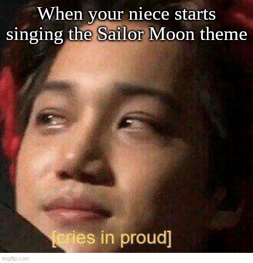 She is my favorite child ever | When your niece starts singing the Sailor Moon theme | image tagged in anime,first anime memories | made w/ Imgflip meme maker