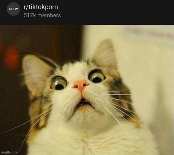 Very disturbing | image tagged in memes,scared cat | made w/ Imgflip meme maker