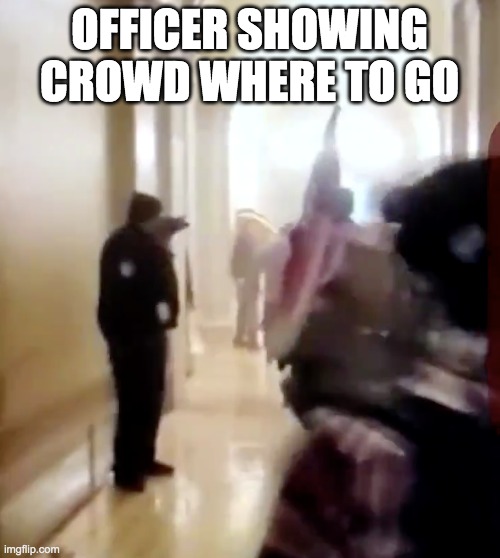 OFFICER SHOWING
CROWD WHERE TO GO | made w/ Imgflip meme maker