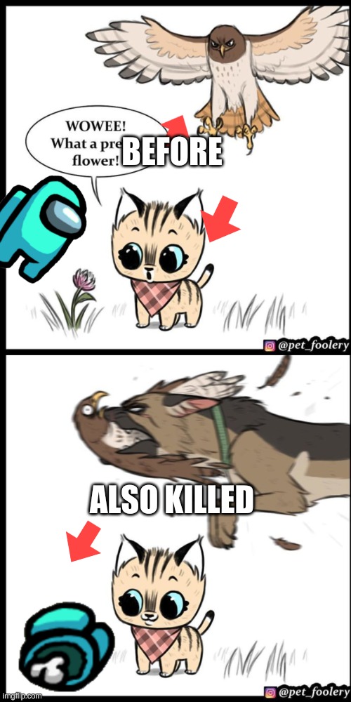 Brutus and pixie | BEFORE; ALSO KILLED | image tagged in brutus and pixie | made w/ Imgflip meme maker