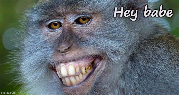 Clubbing in the Jungle | Hey babe | image tagged in grinning monkey,flirting,monkey | made w/ Imgflip meme maker