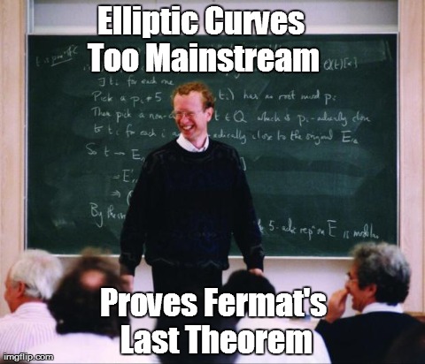 Elliptic Curves Too Mainstream Proves Fermat's Last Theorem | image tagged in hipster mathematician | made w/ Imgflip meme maker