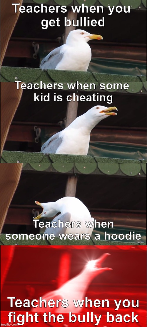 Teachers in a nutshell | Teachers when you 
get bullied; Teachers when some 
kid is cheating; Teachers when someone wears a hoodie; Teachers when you fight the bully back | image tagged in memes,inhaling seagull | made w/ Imgflip meme maker