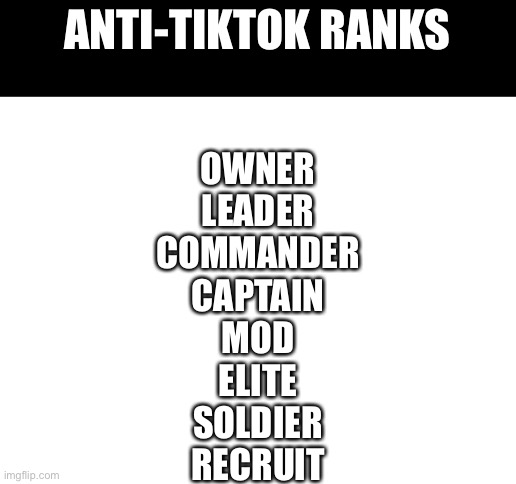 Comment your rank | ANTI-TIKTOK RANKS; OWNER
LEADER
COMMANDER
CAPTAIN
MOD
ELITE
SOLDIER
RECRUIT | image tagged in blank white template | made w/ Imgflip meme maker