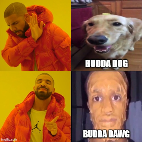 Drake Hotline Bling Meme | BUDDA DOG; BUDDA DAWG | image tagged in memes,drake hotline bling | made w/ Imgflip meme maker