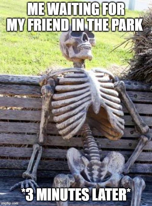 E | ME WAITING FOR MY FRIEND IN THE PARK; *3 MINUTES LATER* | image tagged in memes,waiting skeleton | made w/ Imgflip meme maker